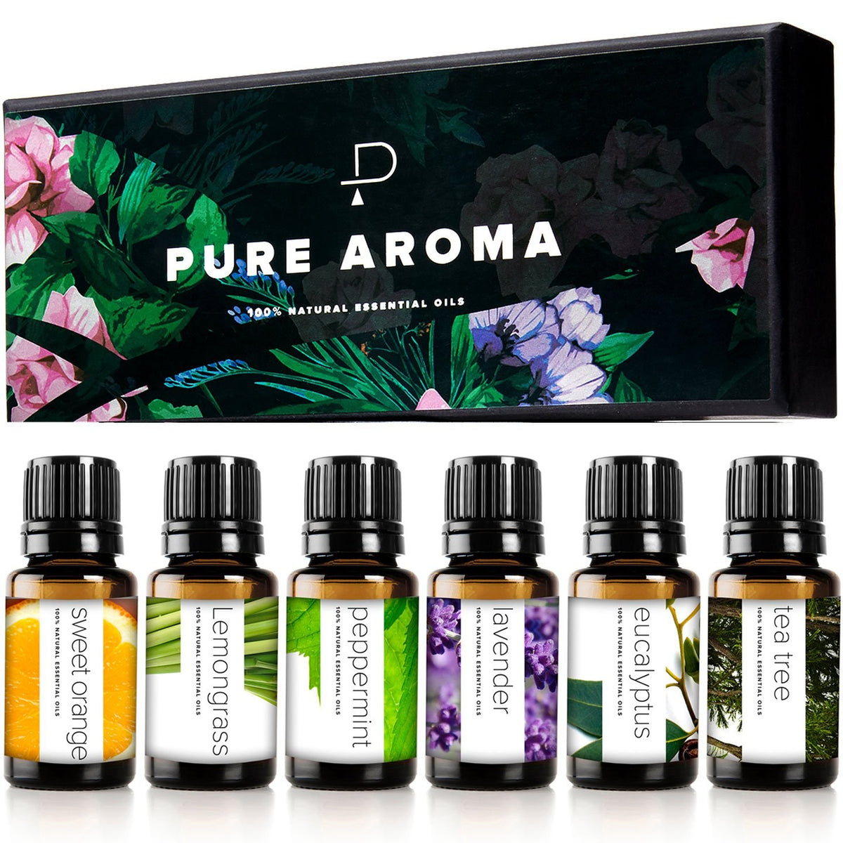 Pack Routine air pur